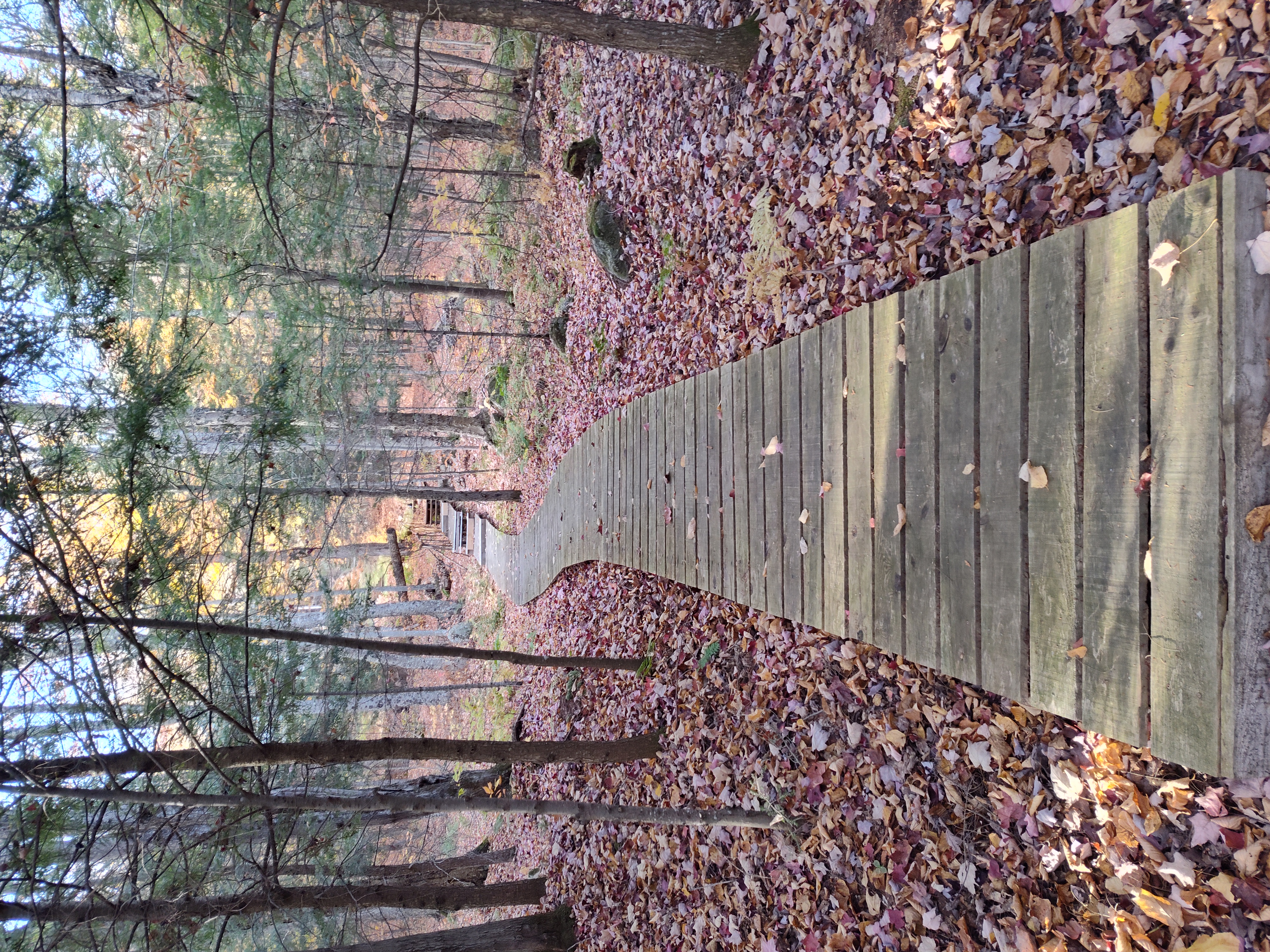 Boardwalk from the Lake